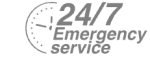 24/7 Emergency Service Pest Control in Cobham, Shorne, DA12. Call Now! 020 8166 9746