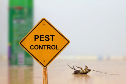 Pest Contol in Cobham, Shorne, DA12. Call Now 020 8166 9746